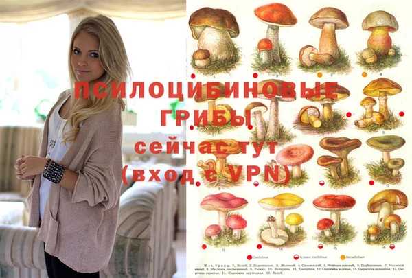 герыч Алексин