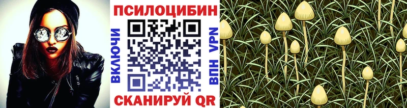 Галлюциногенные грибы MAGIC MUSHROOMS  Ахтырский 